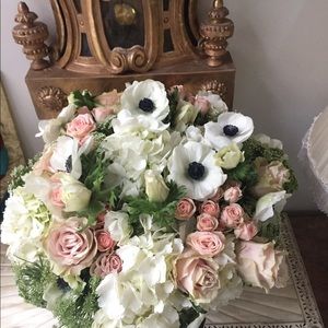 Meet your Posher, Jana